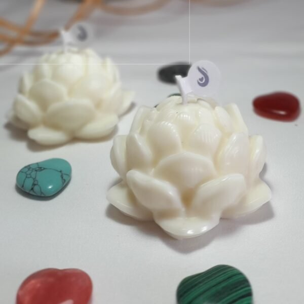 FLOR DE LOTO - Image 4