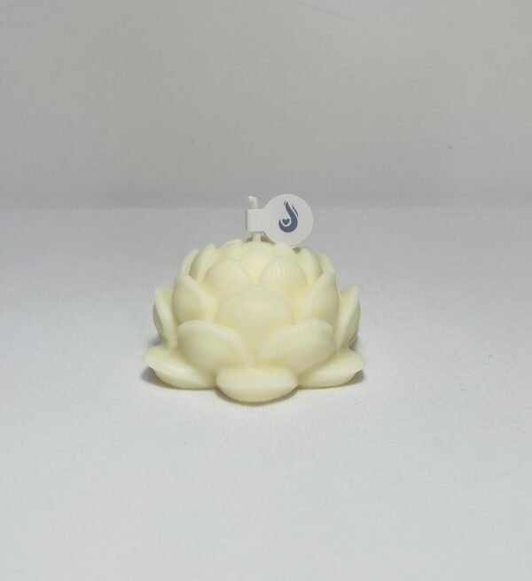 FLOR DE LOTO - Image 3